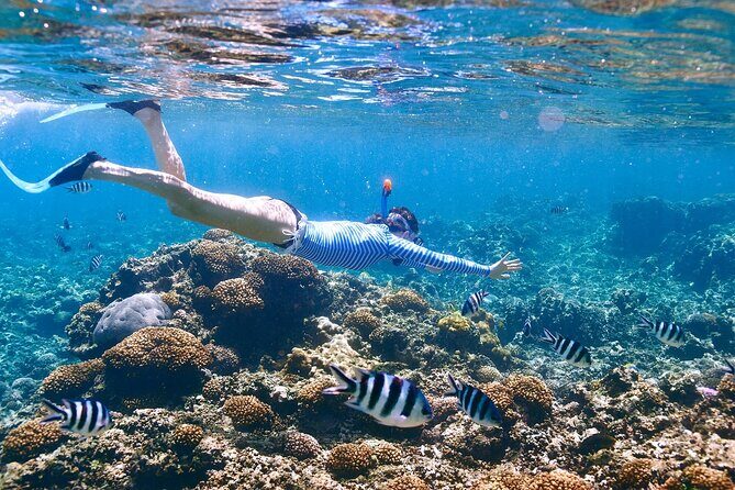 Private Half Day Boat Tour, 3 locations of your choice - Key highlights worth planning around