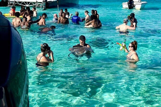 Private Half Day Boat Tour, 3 locations of your choice - Price and value: $800 per group can be a smart deal