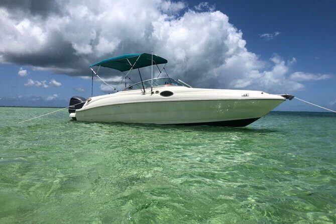 Private Half-Day Charter to Stingray City, Starfish Point and Snorkeling Tour - The 25ft Sea Ray Sundeck: Comfort, Shade, And Getting In The Water