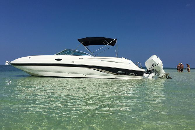 Private Half Day Stingray City, Snorkeling and Starfish Beach Tour - Key Things I’d Plan Around