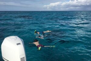Private Half Day Stingray City, Snorkeling and Starfish Beach Tour - How the Crew Keeps Stingray City Fun (and Not Scary)
