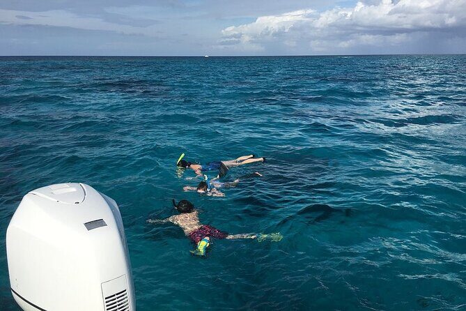 Private Half Day Stingray City, Snorkeling and Starfish Beach Tour - How the Crew Keeps Stingray City Fun (and Not Scary)