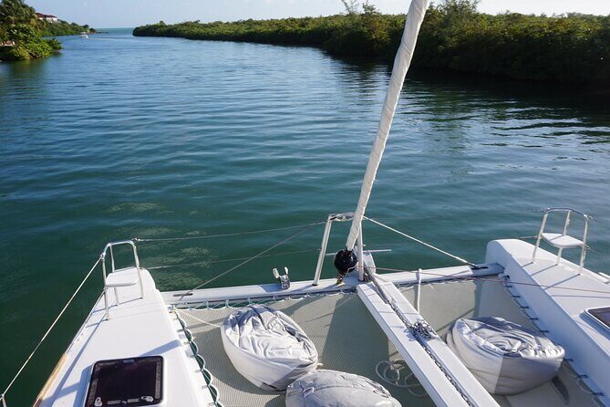 Private Luxury Catamaran Tour to Stingray City and Snorkel - Who This Tour Fits Best (and Who Might Want Another Option)