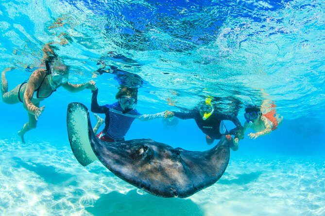 Private Stingray City and Snorkeling Half Day Charter for 6 Guest - Camana Bay half-day: what the private boat changes