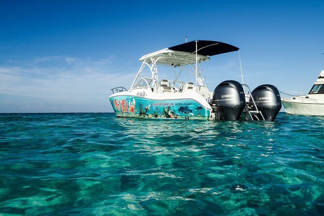 Private Stingray City and Snorkeling Half Day Charter for 6 Guest - Coral Gardens and route flexibility: why the captain’s job matters