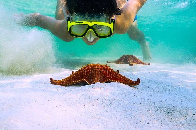 Private Stingray City Snorkeling and BioBay Charter for 10 Guests - A private 6-hour Cayman combo that makes both days feel worth it