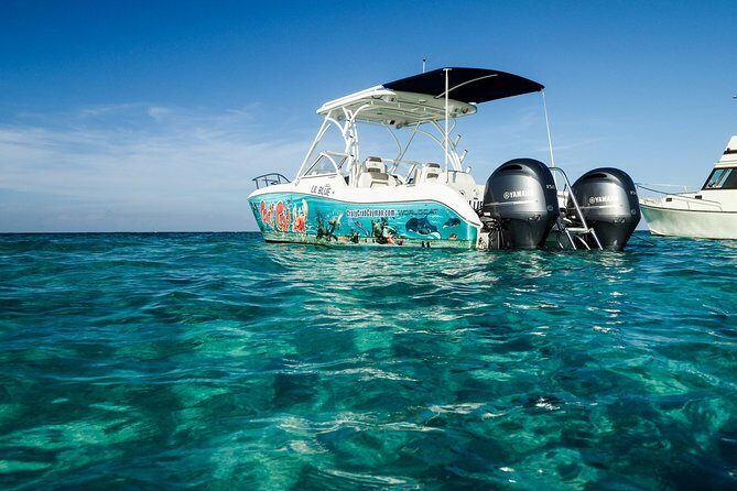 Private Stingray City Snorkeling and BioBay Charter for 10 Guests - Stop 2: Stingray City—warm water, safety-first handling, and real interaction