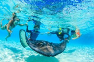 Private Stingray City Snorkeling and BioBay Charter for 6 Guests - Crazy Crab logistics: meeting at Camana Bay and settling in