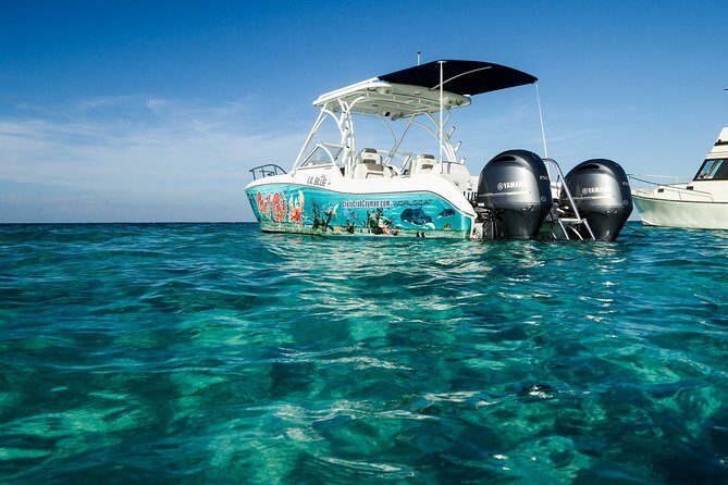 Private Stingray City Snorkeling and BioBay Charter for 6 Guests - The boat portion that connects everything: private charter time