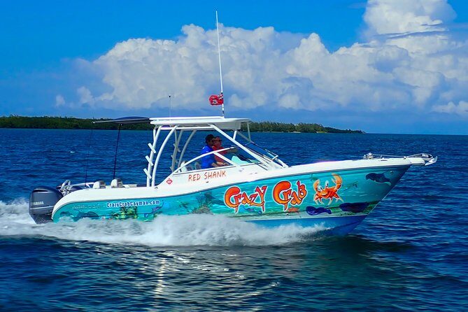 Private Stingray City Snorkeling and BioBay Charter for 6 Guests - Sunset and supper: why the evening pacing is part of the magic