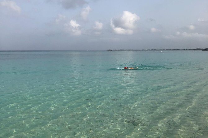 Private Swim Lesson or Triathlon Training on Seven Mile Beach! - Price and value: $145 per person in the real world