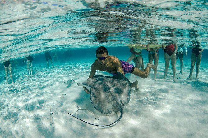 Private Yacht 48 ft Sting Ray City, Snorkel & Starfish Beach - Snorkeling Coral Life at 8–10 Feet, Plus Starfish Beach Calm