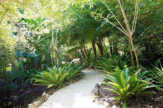 Queen Elizabeth II Botanic Park and Pedro St James Castle Tour in Grand Cayman - Queen Elizabeth II Botanic Park: Blue Iguanas, Heritage Garden, and tea-house views