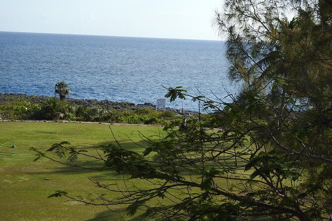Queen Elizabeth II Botanic Park and Pedro St James Castle Tour in Grand Cayman - What you’ll do at each stop, step by step