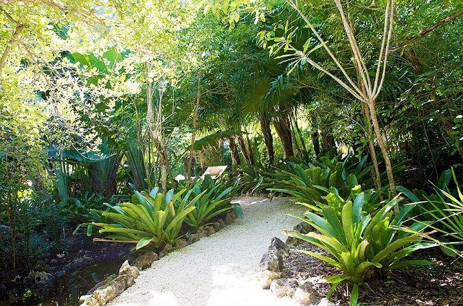 Queen Elizabeth II Botanic Park and Pedro St James Castle Tour in Grand Cayman - Who should book this Grand Cayman combo?