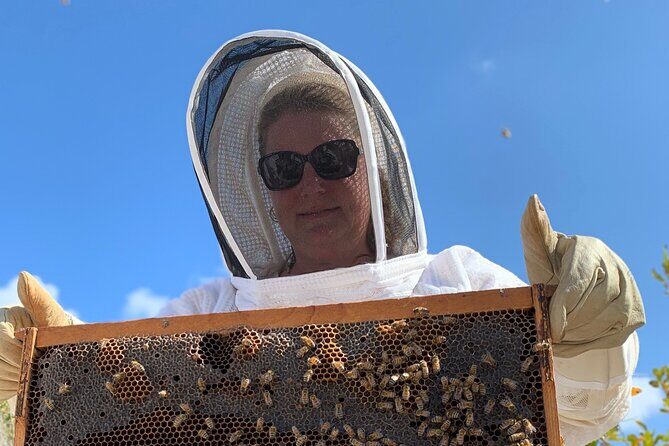 Reagan’s Honey Beekeeping Adventure - The honey moment: tasting and taking home Cayman honey
