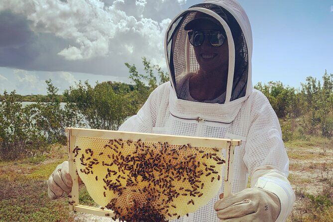 Reagan’s Honey Beekeeping Adventure - Woodland wildlife spotting between hive checks
