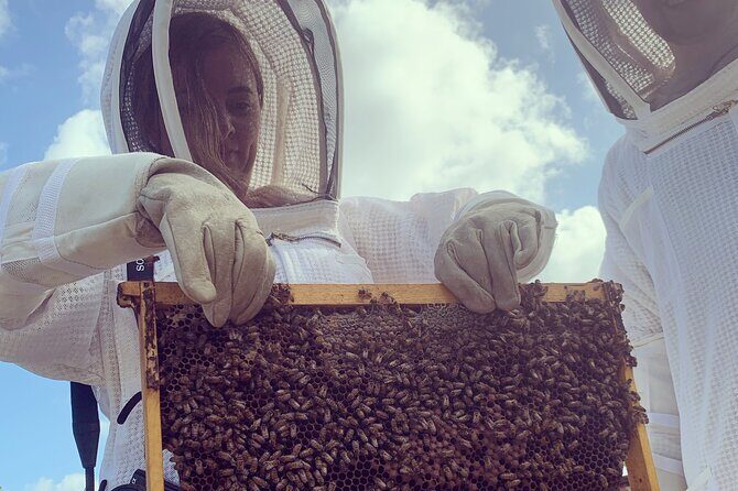 Reagan’s Honey Beekeeping Adventure - Small groups mean real attention, not just a quick stop