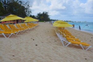Small Group 7 Mile Beach Stingray City and Coral Gardens Tour - George Town drive-by: what you’ll actually see and why it matters