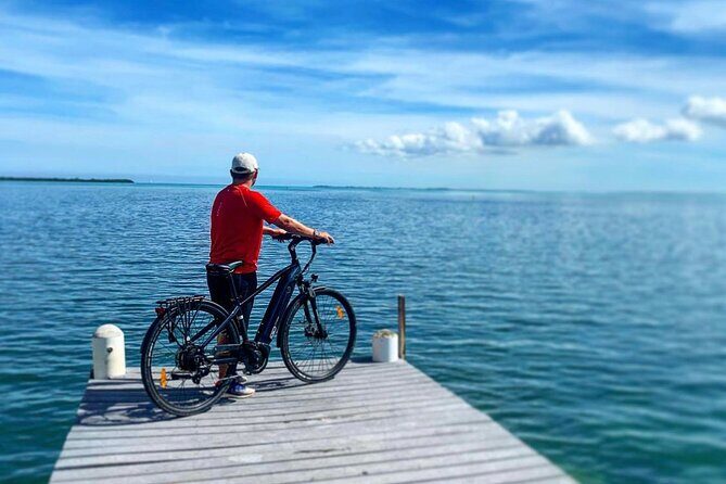 Small Group E-Bike Grand Cayman Ecological Half-Day Tour - Guide Style: Safety, Pace, and Real Island Talk