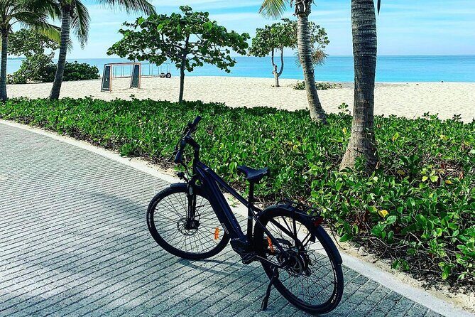 Small Group E-Bike Grand Cayman Ecological Half-Day Tour - Who This Tour Is Best For (and Who Should Skip It)