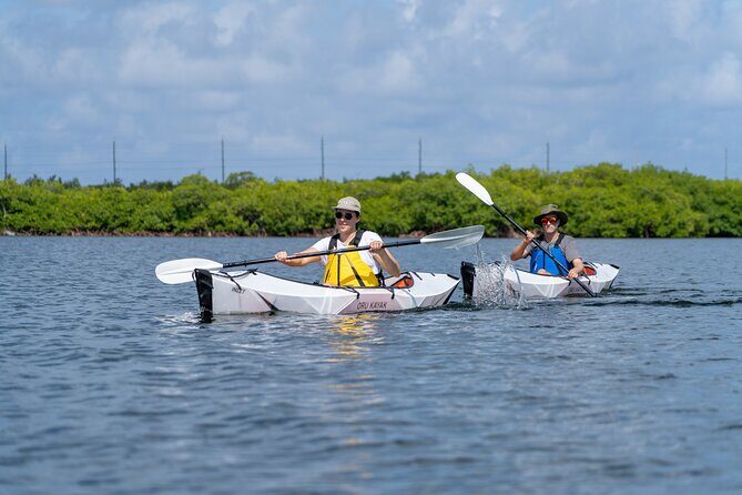 Small Group Glass Bottom Kayak Adventure- Cayman Islands - Key highlights at a glance