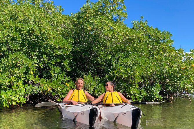 Small Group Glass Bottom Kayak Adventure- Cayman Islands - Safety and comfort: what’s included, what to prepare for