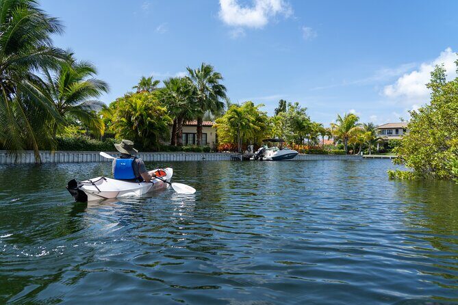 Small Group Glass Bottom Kayak Adventure- Cayman Islands - How the 2 hours will feel on the water (and why small groups help)
