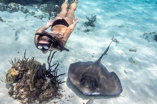 Starfish Point, Stingray City-Sandbar & Coral Gardens - Crew energy, small-group flow, and the photo situation