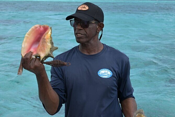 Stingray City and Snorkel Tour With Lunch - Who should book this tour?