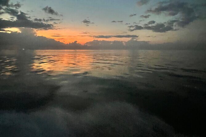 Stingray City and Snorkeling Private Charter - Custom Stops: How Captains Avoid Crowds Without Pretending the Island Is Empty