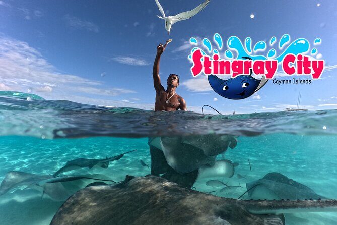 Stingray City and Starfish Experience with Coral Reef Snorkeling - The big idea: three Cayman swims for one set day