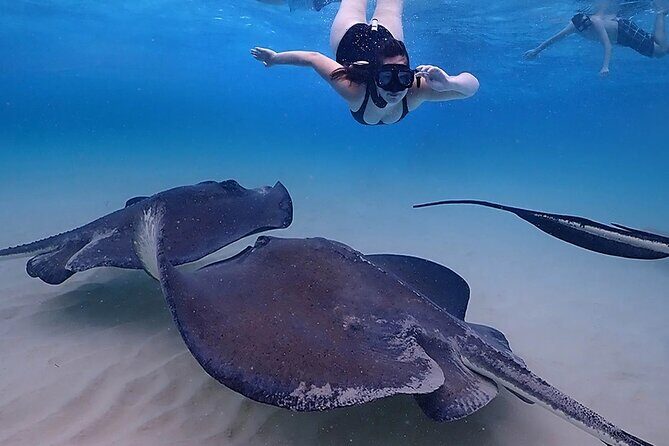 Stingray City and Starfish Experience with Coral Reef Snorkeling - Coral Gardens snorkel: colorful reef time without the stress