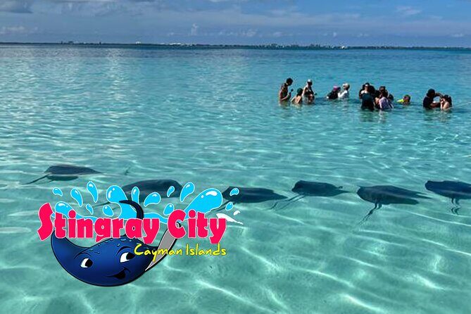 Stingray City and Starfish Experience with Coral Reef Snorkeling - Timing tips for a smooth cruise-day day
