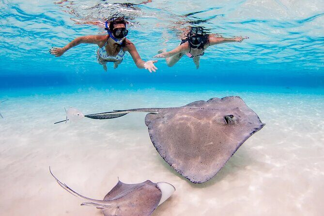 Stingray City and Starfish Experience with Coral Reef Snorkeling - Comfort and safety: what to wear and how to make it easier