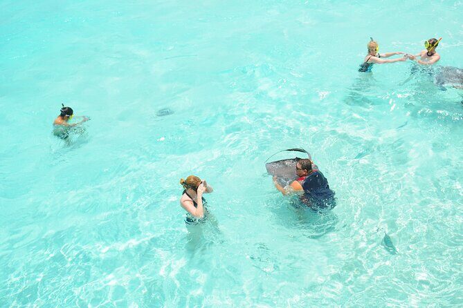 Stingray City, Coral Gardens & Frankie's Local Lunch & Juice - Who This Tour Fits Best (and Who Might Prefer Something Else)