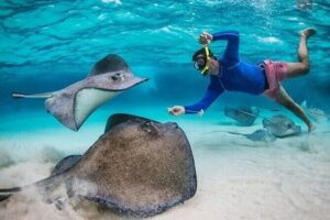 Stingray City Sandbar, Coral Gardens Snorkeling & Star Fish Point - Price and Value: Why $65 Can Be a Smart Buy