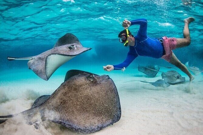 Stingray City Sandbar, Coral Gardens Snorkeling & Star Fish Point - Price and Value: Why $65 Can Be a Smart Buy