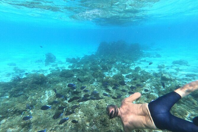 Stingray City, Star fish Point and Snorkeling Private Boat Tour - Snorkeling stops beyond the headline locations