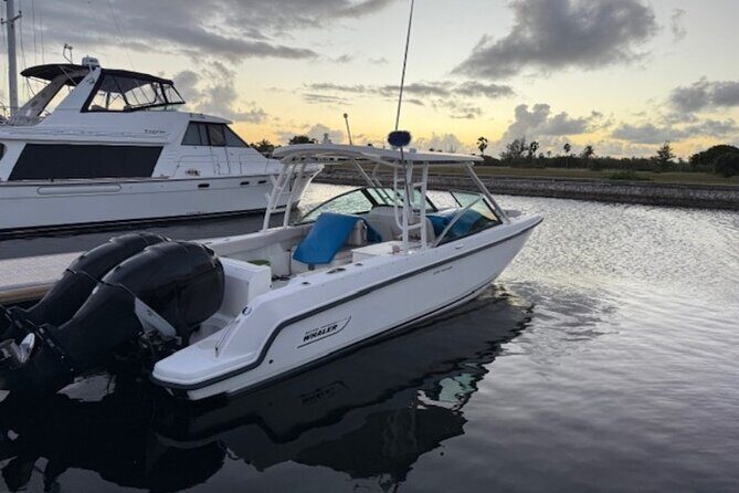 Stingray City, Star fish Point and Snorkeling Private Boat Tour - Price and value: $725 per group can be a smart move