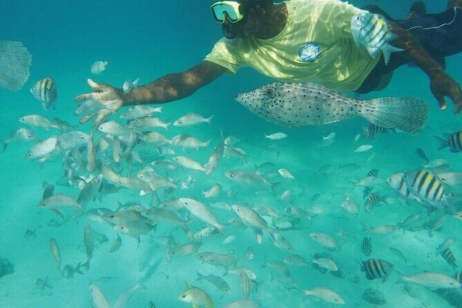 Stingrays, Starfish and Snorkeling Tour - Getting to the water: Seven Mile Beach pickup and smooth timing