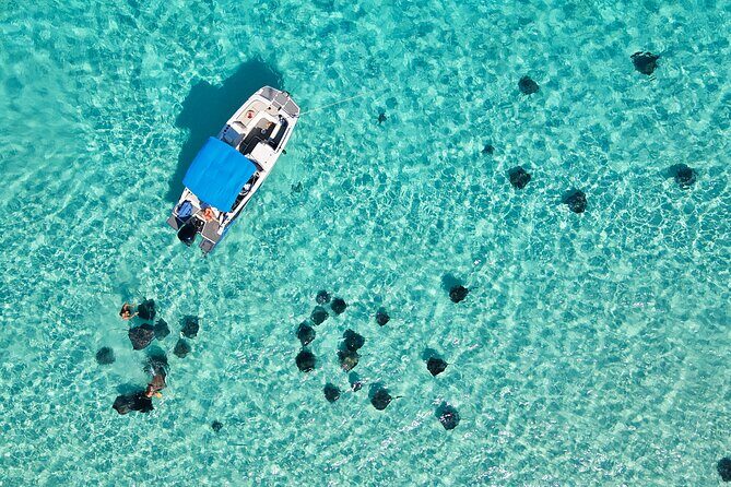 Sunrise at Stingray City, Private Tour - Key highlights worth getting excited about